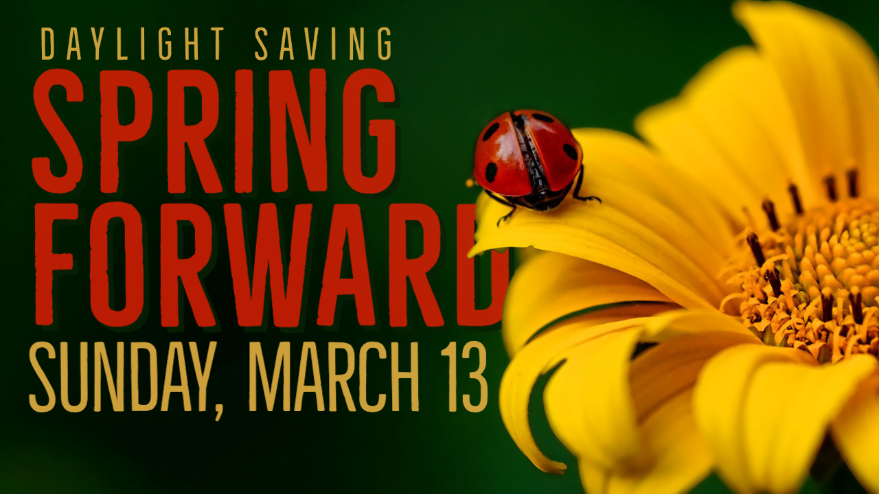 Daylight Savings Time 