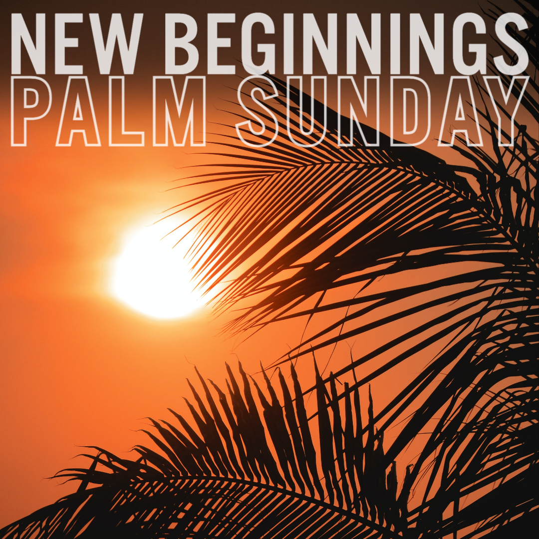 New Beginnings: Palm Sunday