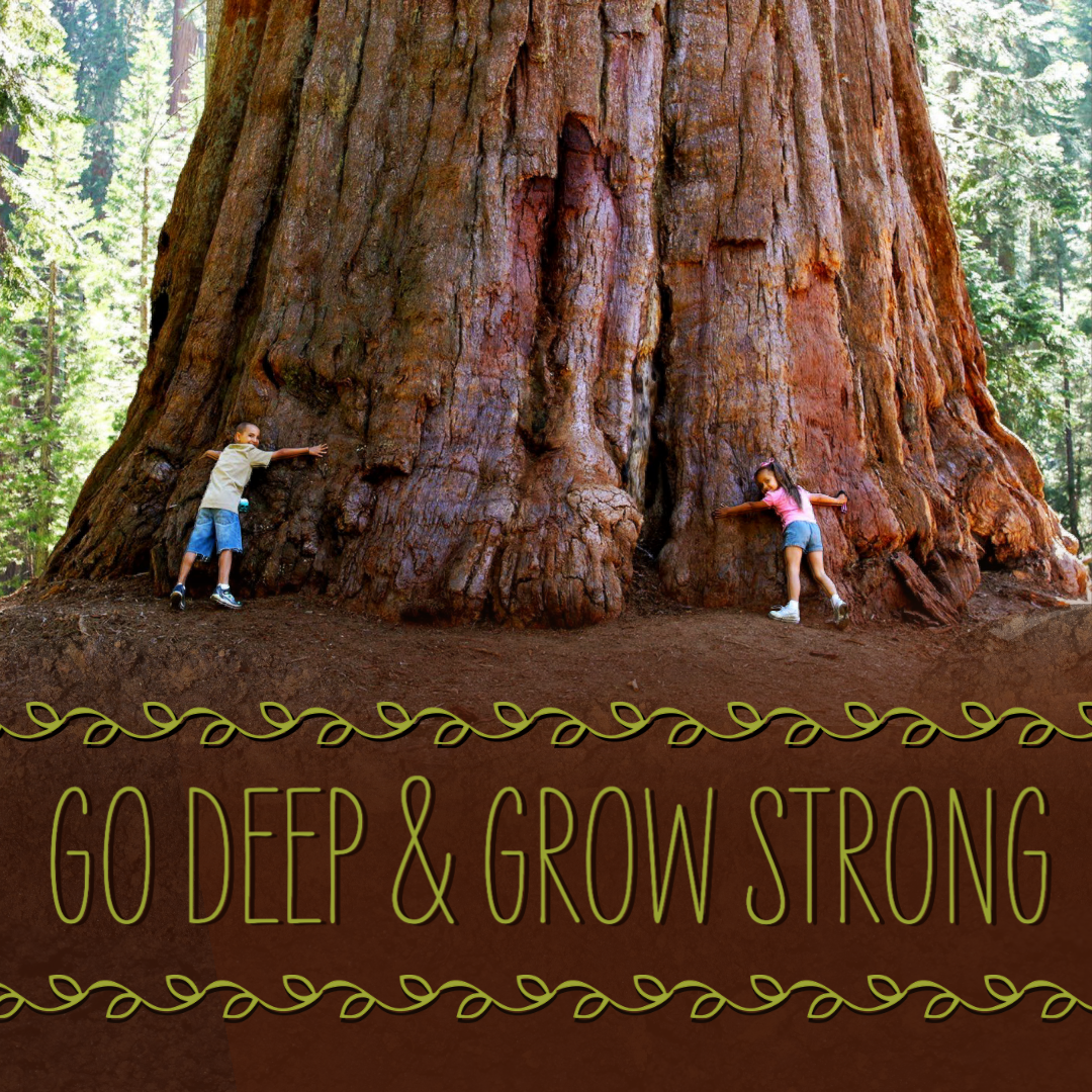 Go Deep & Grow Strong