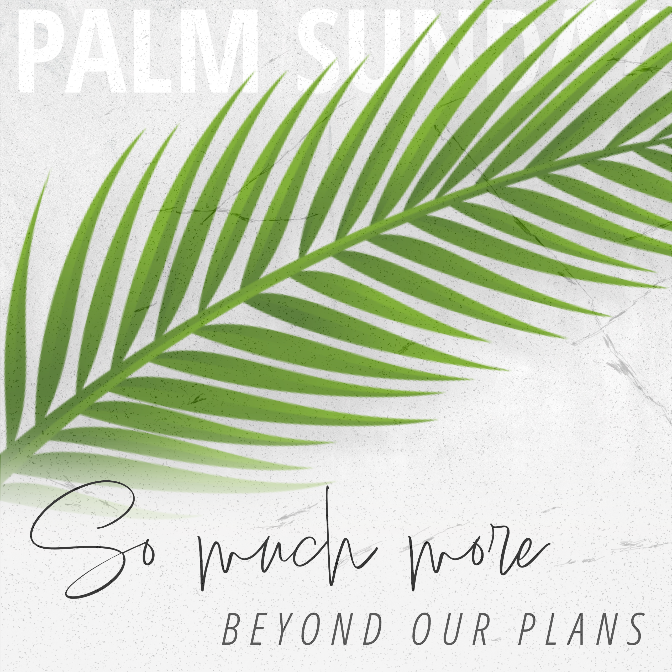 So Much More...Beyond Our Plans