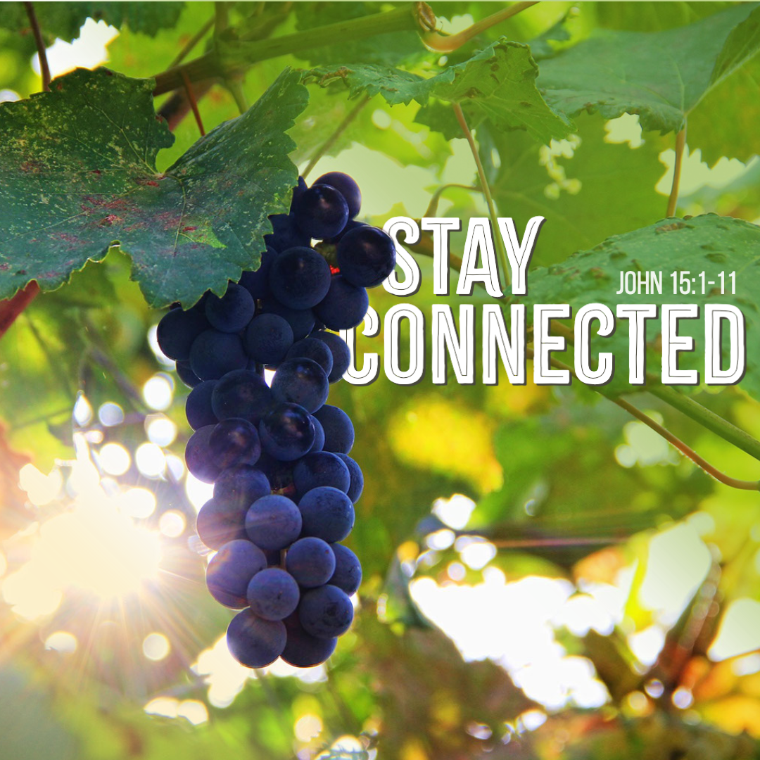 Stay Connected