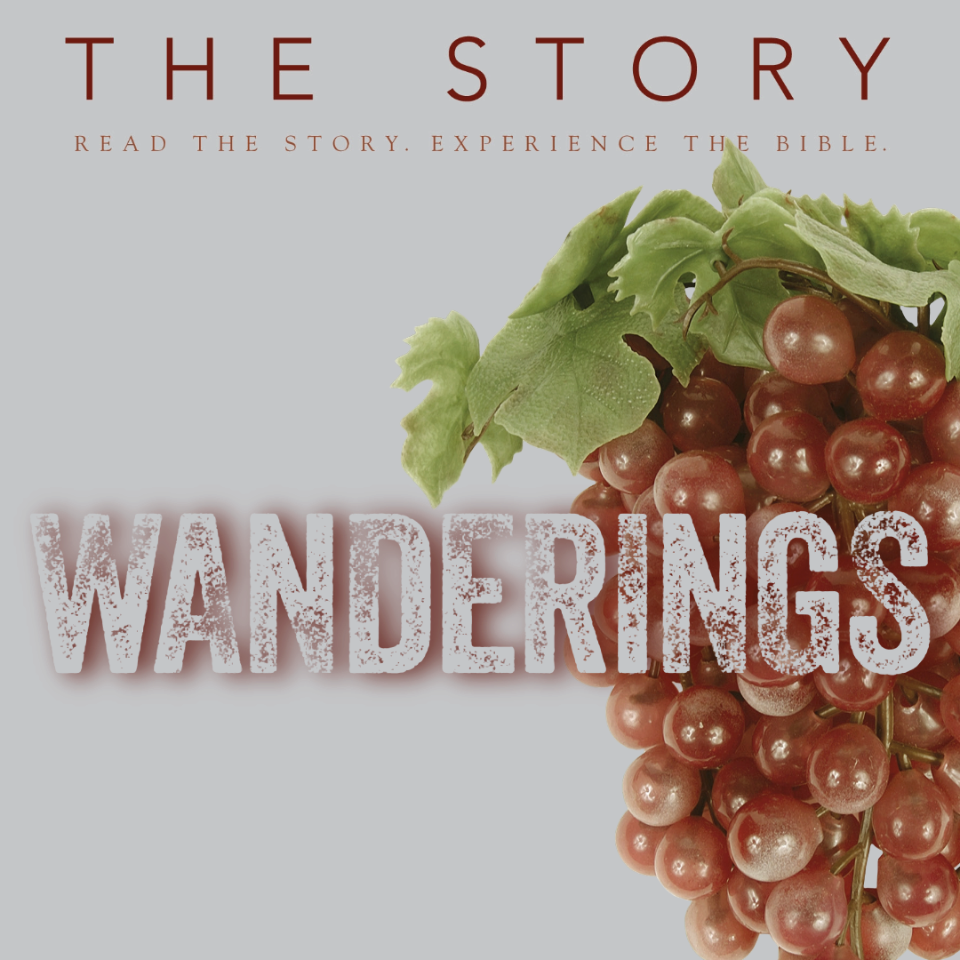 Wanderings