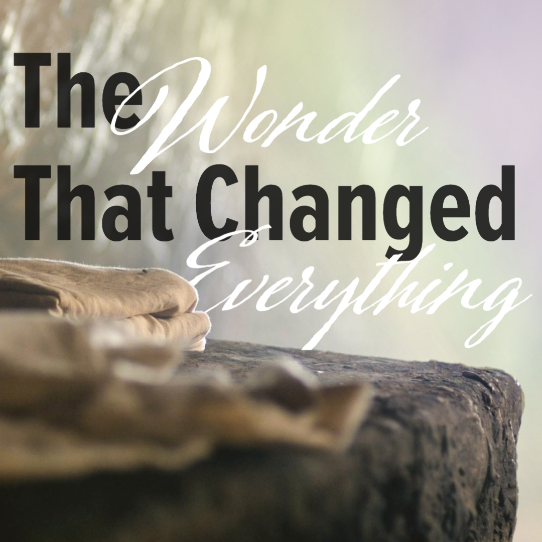 The Wonder That Changed Everything