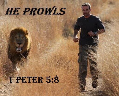 He Prowls