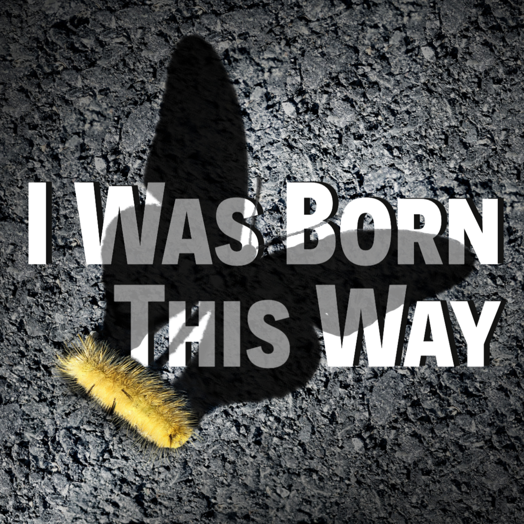 I Was Born This Way