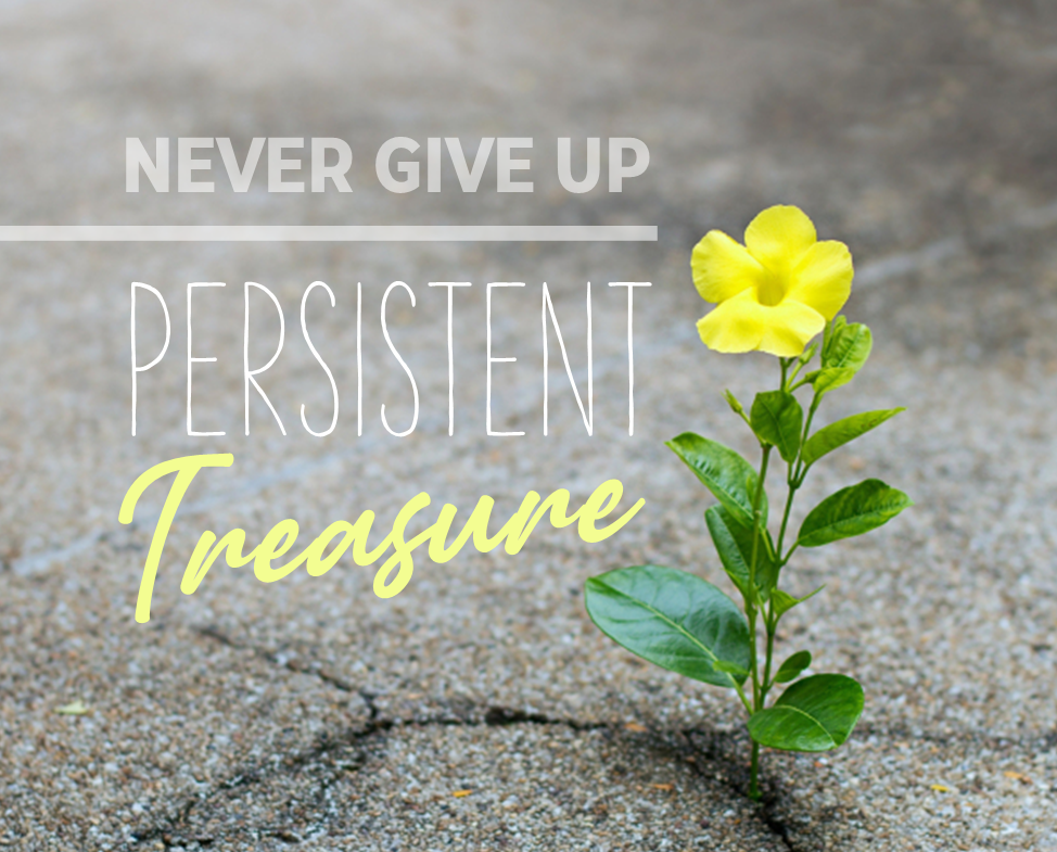 Never Give Up: Persistent Treasure