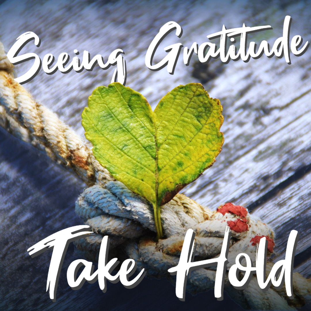 Eyes To See: Seeing Gratitude Take Hold
