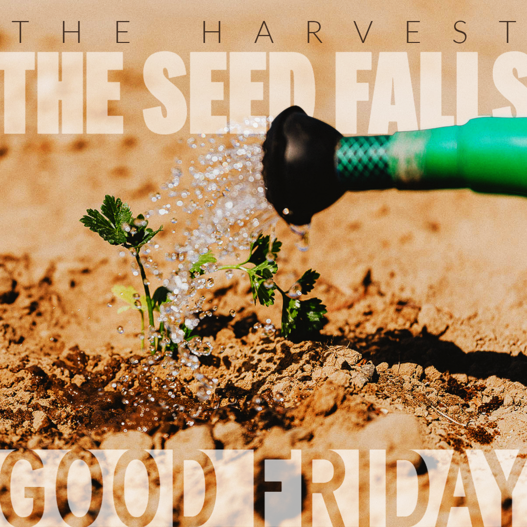 The Harvest: The Seed Falls (Good Friday)