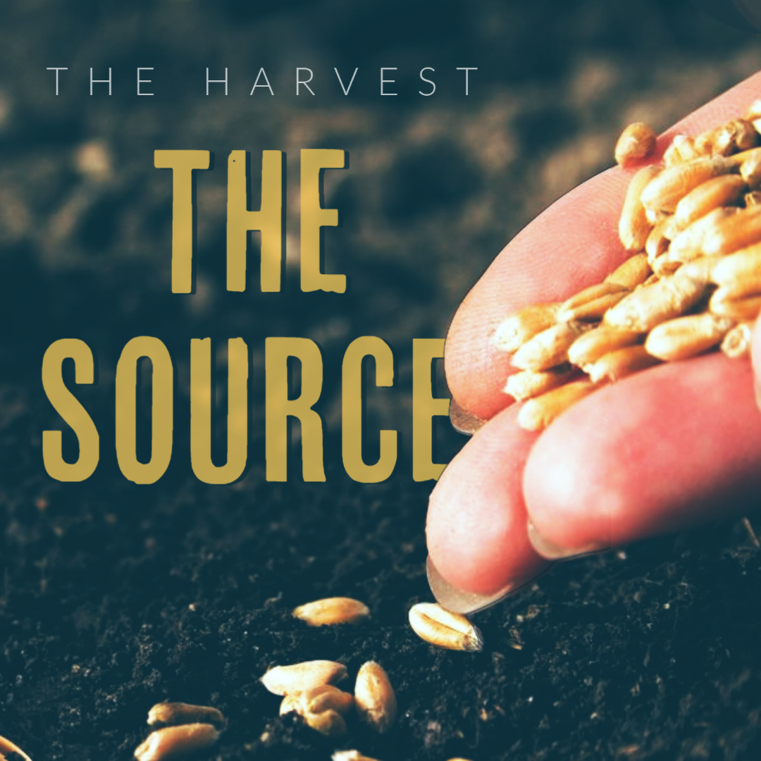 The Harvest: The Source