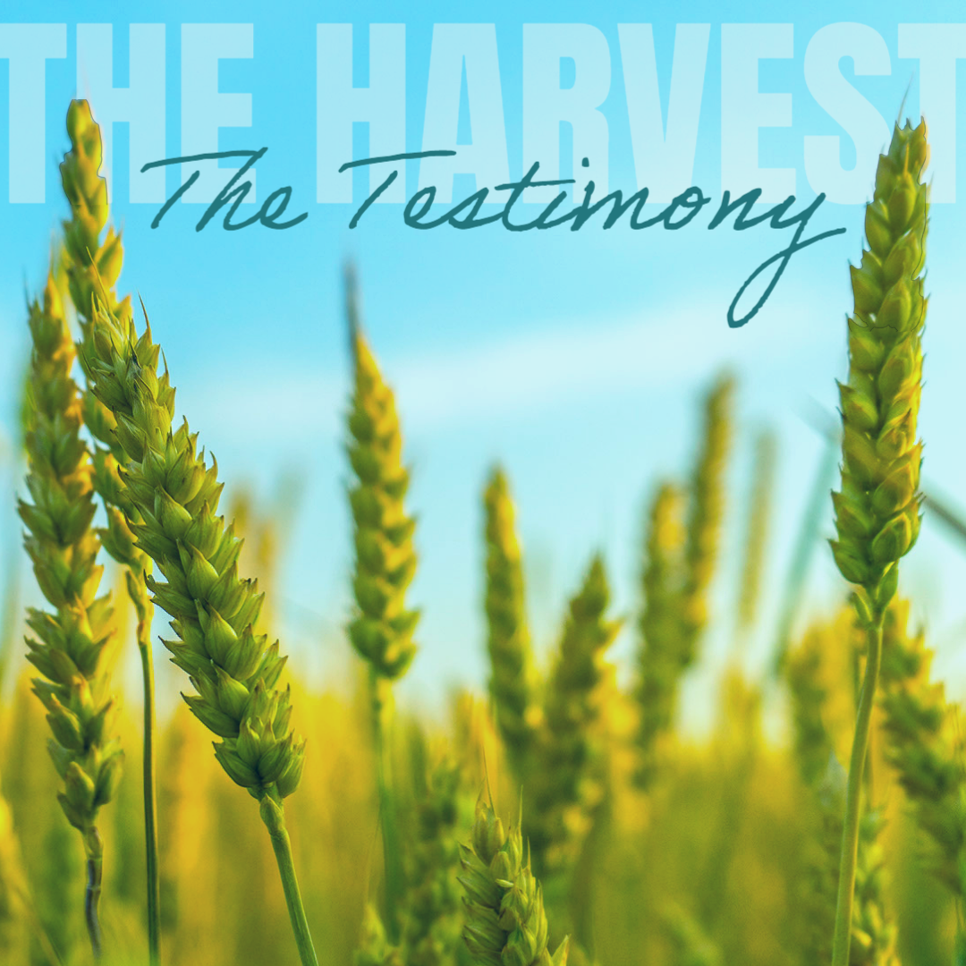 The Harvest: The Testimony