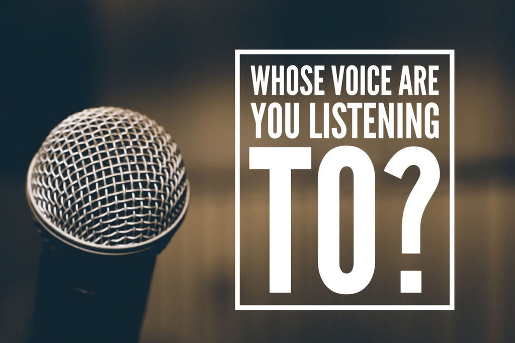 Whose Voice Are You Listening To?